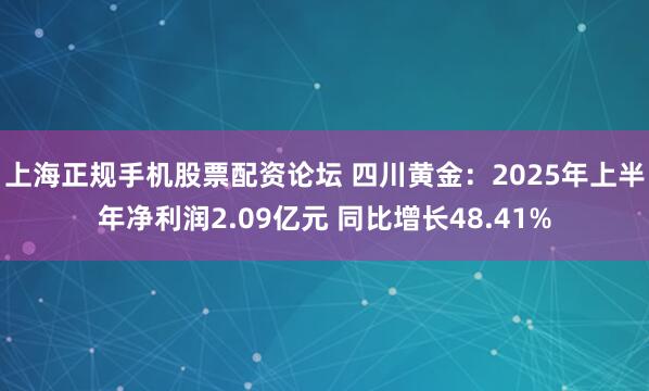 上海正规手机股票配资论坛 四川黄金：2025年上半年净利润2.09亿元 同比增长48.41%
