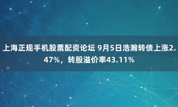 上海正规手机股票配资论坛 9月5日浩瀚转债上涨2.47%，转股溢价率43.11%