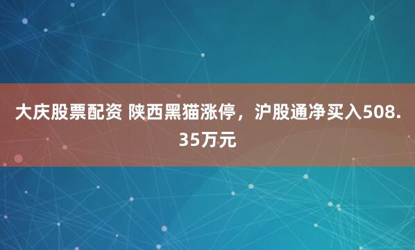 大庆股票配资 陕西黑猫涨停，沪股通净买入508.35万元