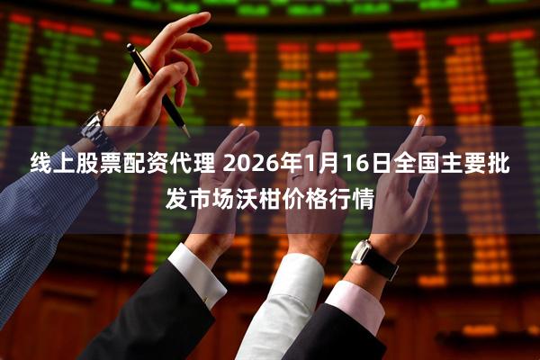 线上股票配资代理 2026年1月16日全国主要批发市场沃柑价格行情